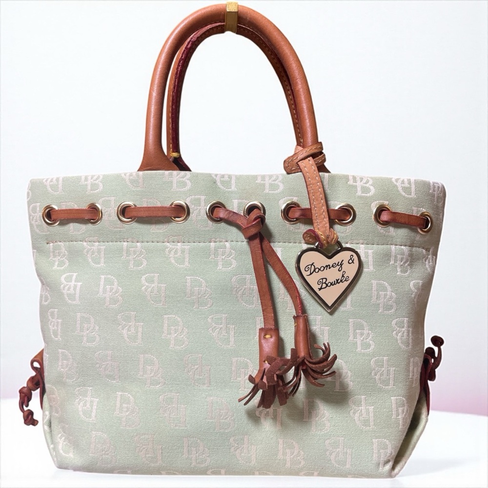 Dooney & Bourke Y2K Vintage Satchel in Mint Green